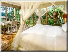tropical shores hotels